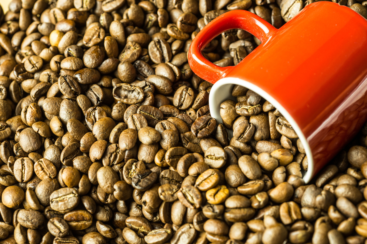 coffee